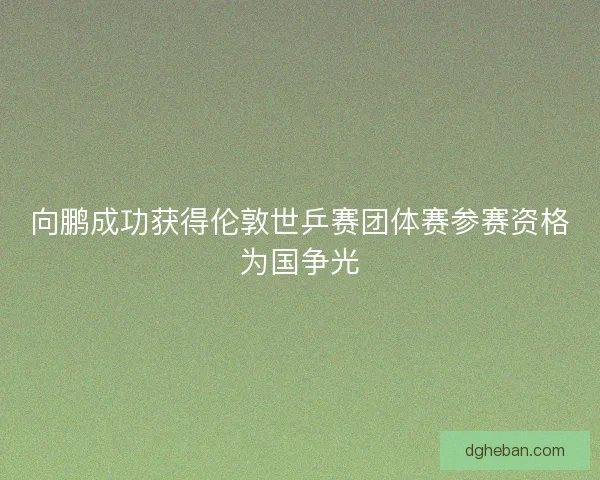 向鹏成功获得伦敦世乒赛团体赛参赛资格为国争光